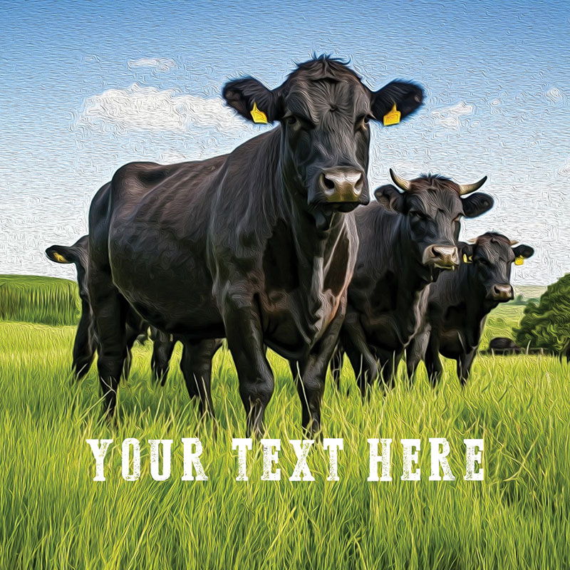 COW2