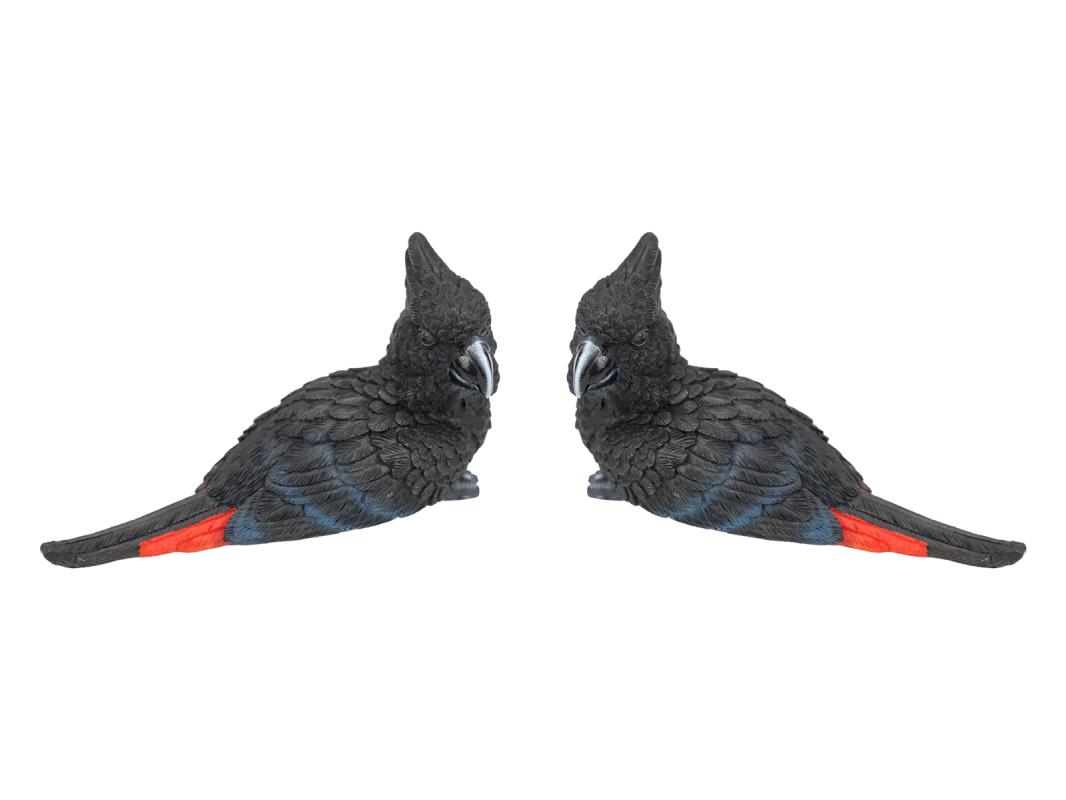 14cm Black Cockatoo Bird Paperweight
