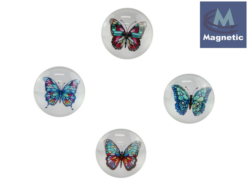 5cm Glass Butterfly Magnet 4 Asstd