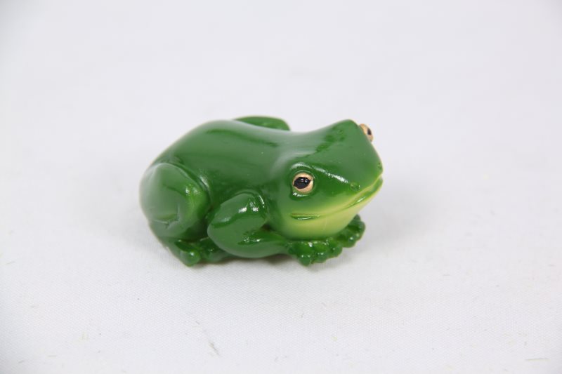 Rainforest Lucky Frog Magnet