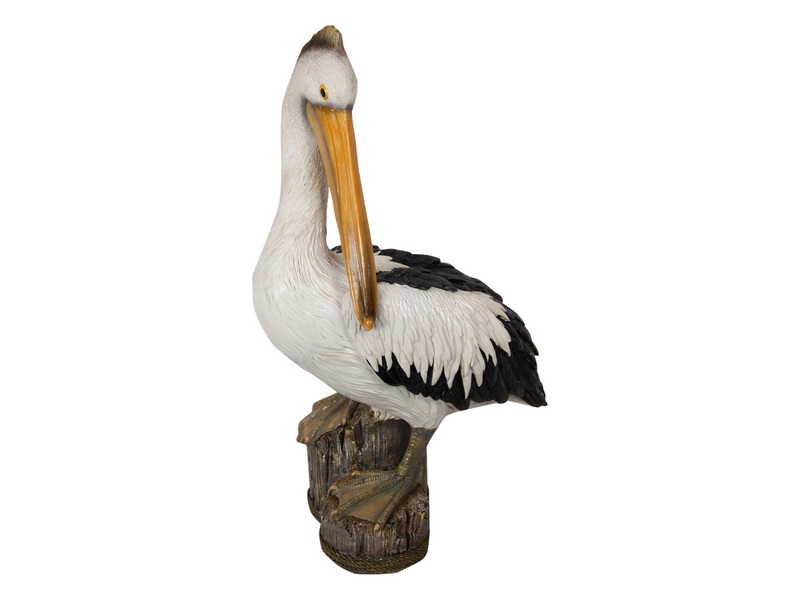 41CM PELICAN ON LOG