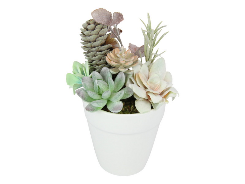 19cm Plant in White Ceramic Pot