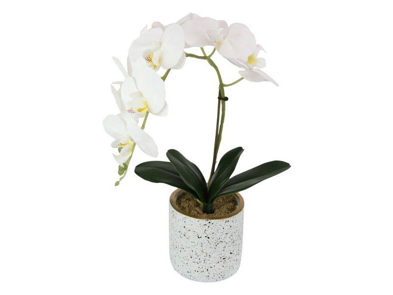 42CM WHITE ORCHID IN WHITE FLECKED POT