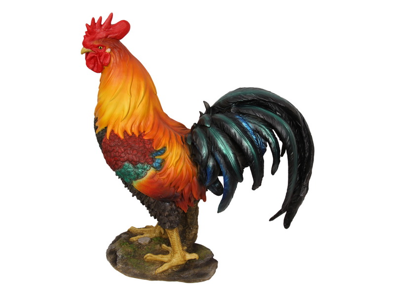 55cm Standing Rooster