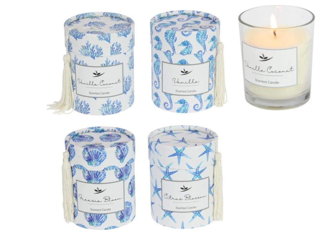 200G Starfish Premium Candle W/Tassle