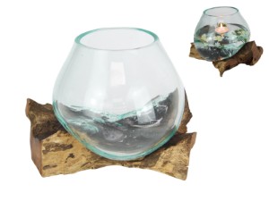 17x15cm Unique Hand Blown Glass Fish Bowl/Terrarium on Natural Driftwood