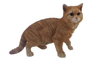 40x30cm Standing Ginger Tabby Cat