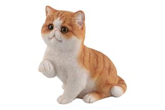 19x20cm Sitting Exotic Shorthair Cat