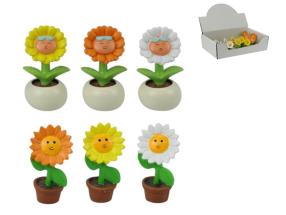 5cm Sunflower in Pot 6 Asstd Bulk Packing (24=Divider Perforated Box)