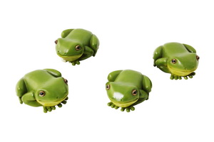 8cm Rain Forest Frog