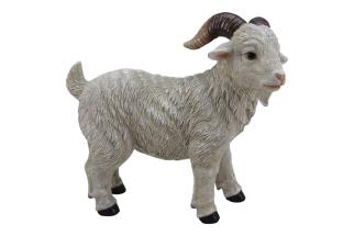 22x21cm Standing White Billie Goat