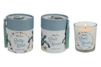 200g Candle with Beach Turtle Design by Kelly Lane 2 Asstd