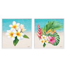 40x40cm Framed Canvas Print with Frangipani Design by Kelly Lane 2 Asstd