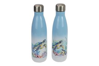 500ml Stainless Steel Drink Bottle with Cute Eyed Turtle Design by Kelly Lane 2 Asstd