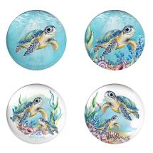5cm Round Magnet with Cute Eyed Turtle Design by Kelly Lane 4 Asstd