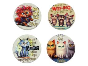 Crazy Cat Magnet 4 Asstd