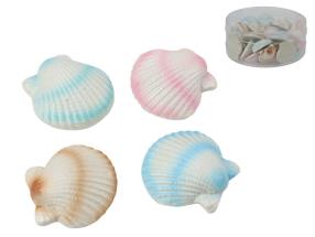3cm Coloured Seashell 4 Asstd