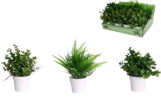 18cm Greenery in Pot 3 Asstd