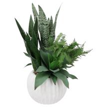 66x55x80cm Artificial Plant Arrangement in White Pot