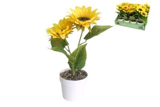 27cm 2 Head Sunflower Plant in White Pot in Display (12=Free Display)