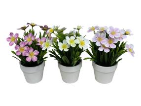 24cm Flowers with Grass in White Pot 3 Asstd