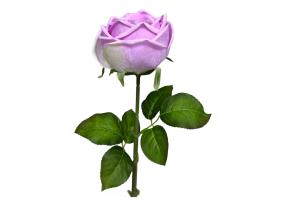 45cm Pink Rose Stem Real Touch