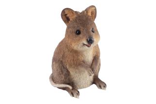 26x23cm Sitting Quokka
